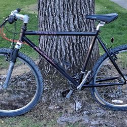 93 Specialized Rockhopper FS  Restoration