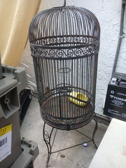 Bird Cage
