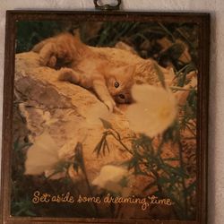 VTG  kitchy kitten wall plaque by Hallmark 