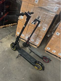 High school scooter/adult