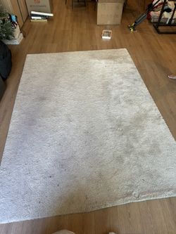 Ikea Beige Carpet Rug