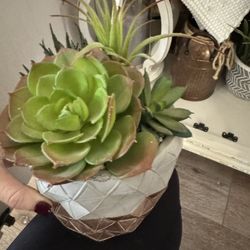 Decor