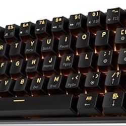 RK ROYAL KLUDGE RK61 Wireless 60% Triple Mode Mechanical Keyboard, 61 Keys Bluetooth Mechanical Keyboard, Compact Gaming Keyboard with Programmable So