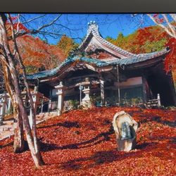 Samsung - 65” Class Q80B QLED 4K Smart TV