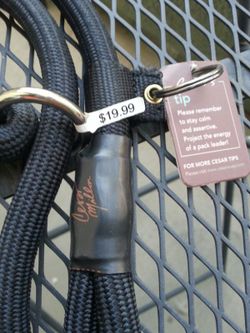 Training dog leash.
