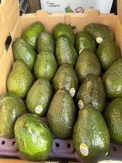 Hass Avocados Fresh / Aguacates Frescos
