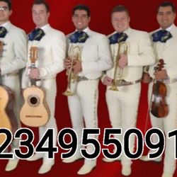 Vihuela Mariachi
