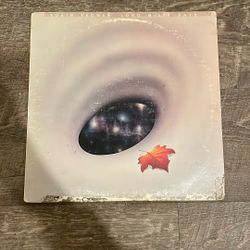 Long Misty Days Vinyl Record