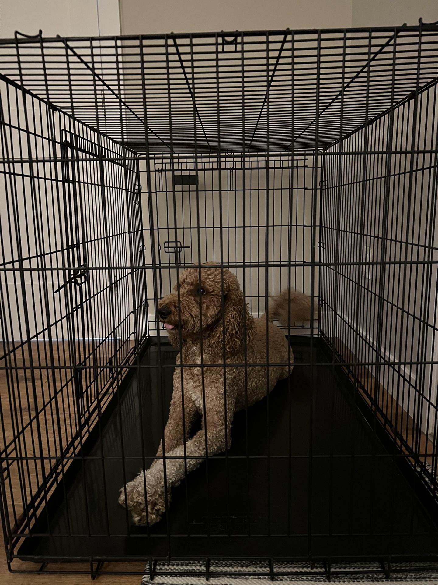 XL Dog Crate Foldable 2 Doors 