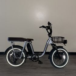 Radrunner Electric Bike