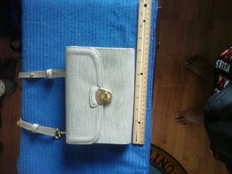 Very Nice BRAHMIN Clutch/Purse Light Green w/25" Shoulder Strap, N/Mint condition