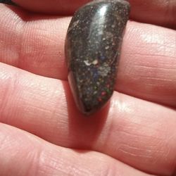 Australian Black  Opal 