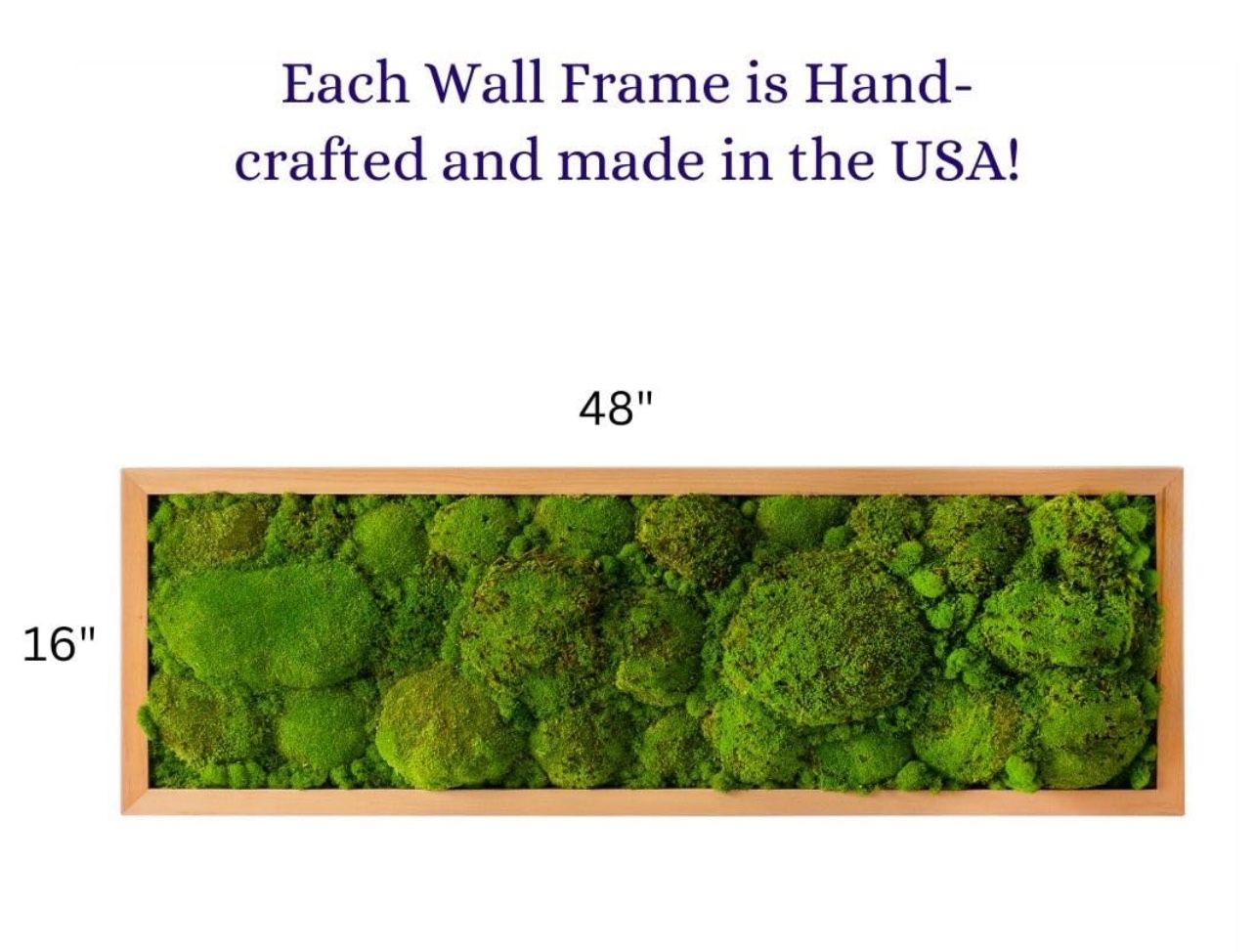 Moss Wall Frame Decor 