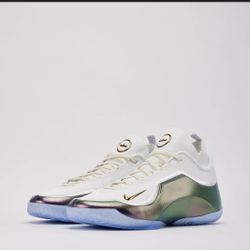 🔥 Nike LeBron “For the Record” – BRAND NEW 🔥