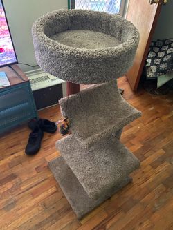 Cat house