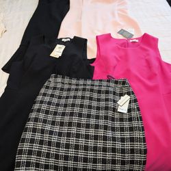 Lot Of Women's The Limited Women's Dresses And Skirt Size 10