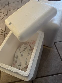 Insulated Cooler With Ice Packs