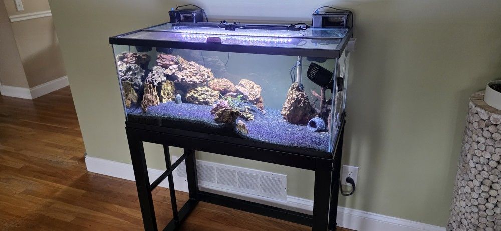 Complete 40 Gallon Aquarium 