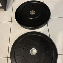 25 Lbs Bumper Plates 