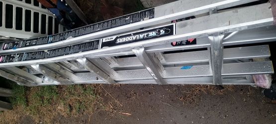 Gorilla Extension Ladder