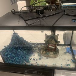 10 GL Fish Tank