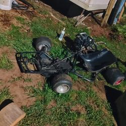 Badger Winged Kart For Sale