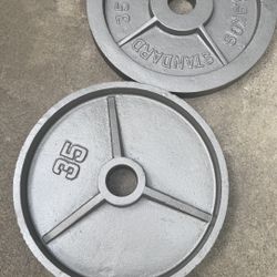 Pair Of 35 Pound Olympic Weights