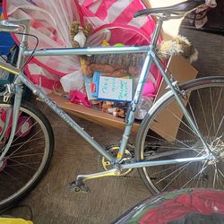 Fuji bike