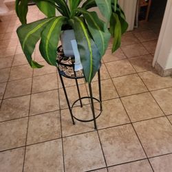 METAL FLOWER STAN WITH DOT & PLANT. BOTH FOR $40. FIRM PRICE 