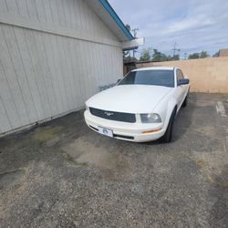 2008 Ford Mustang