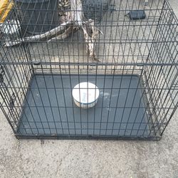 Large Dog Kennel  - easily folds to fit  in any vehicle 