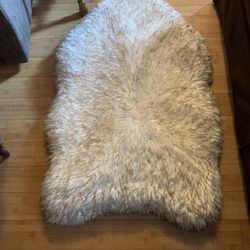Dog  Bed