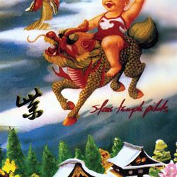 Stone Temple Pilots Album Cover Wall Poster