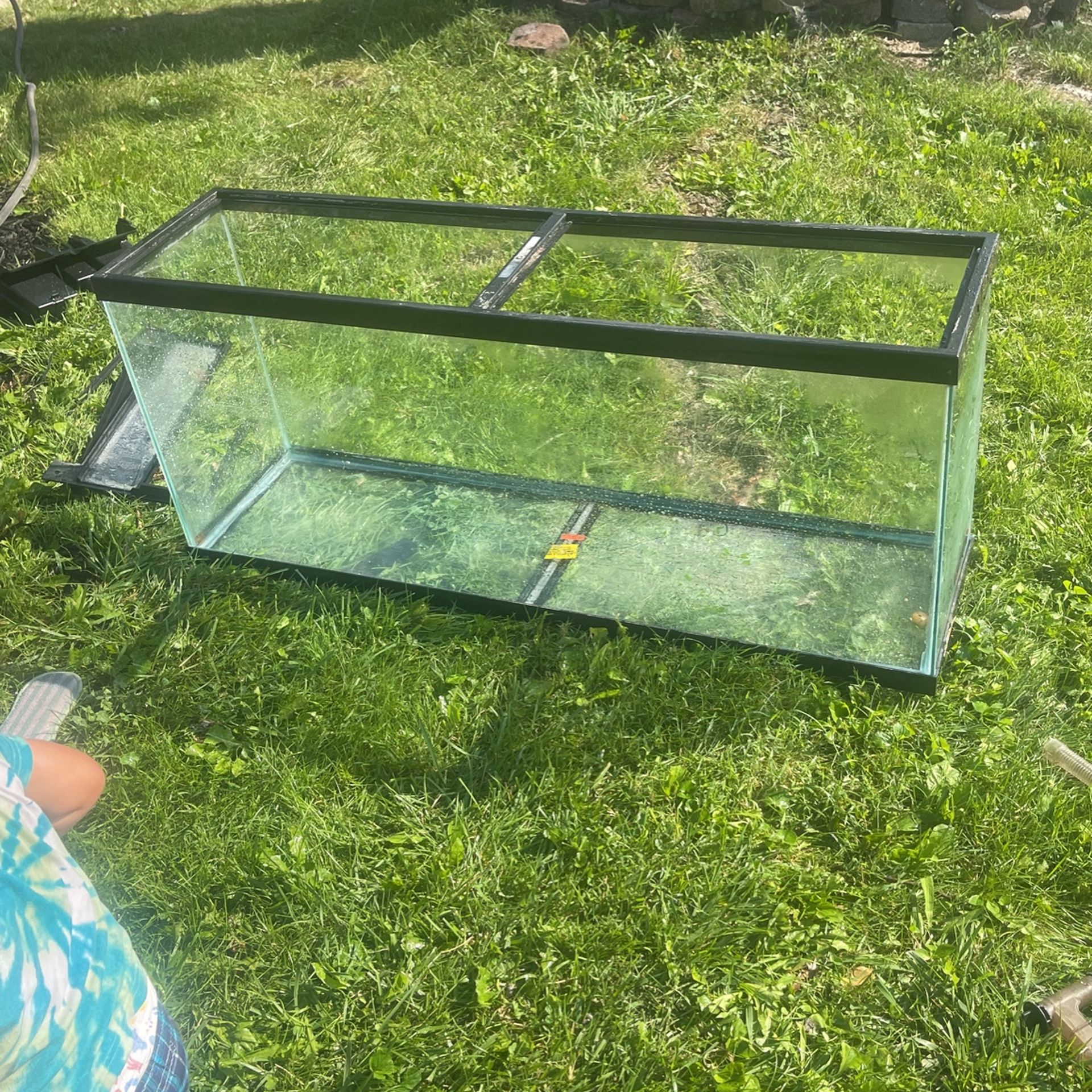 Fish Tank