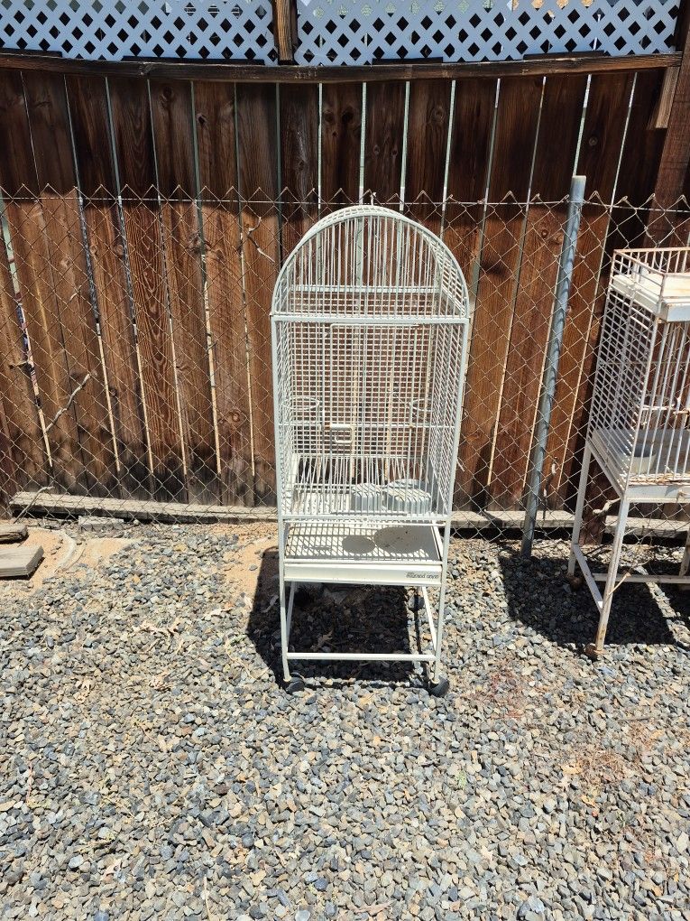 Bird Cage
