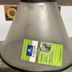 Dog cone xxl