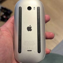 Apple Mouse 
