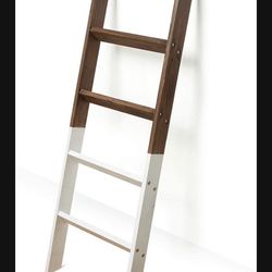 Ladder Shelf New 