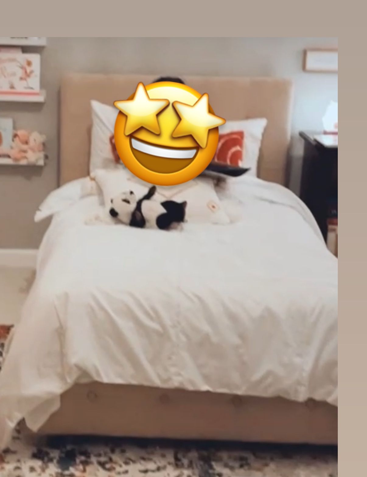 Twin Bed Frame