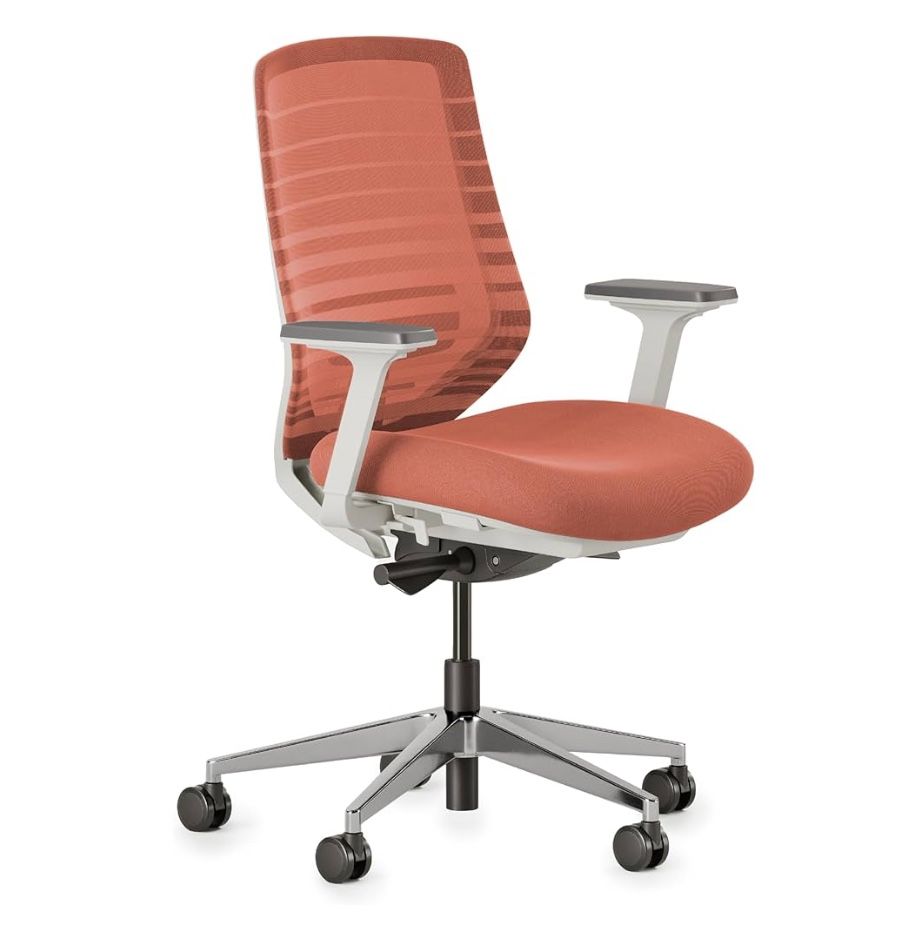 Branch Ergonomic Chair - A Versatile Desk Chair, office chair