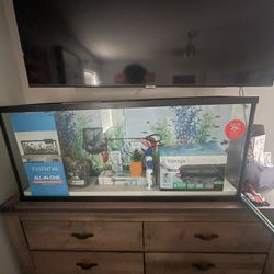 55 Gallon Fish Tank 
