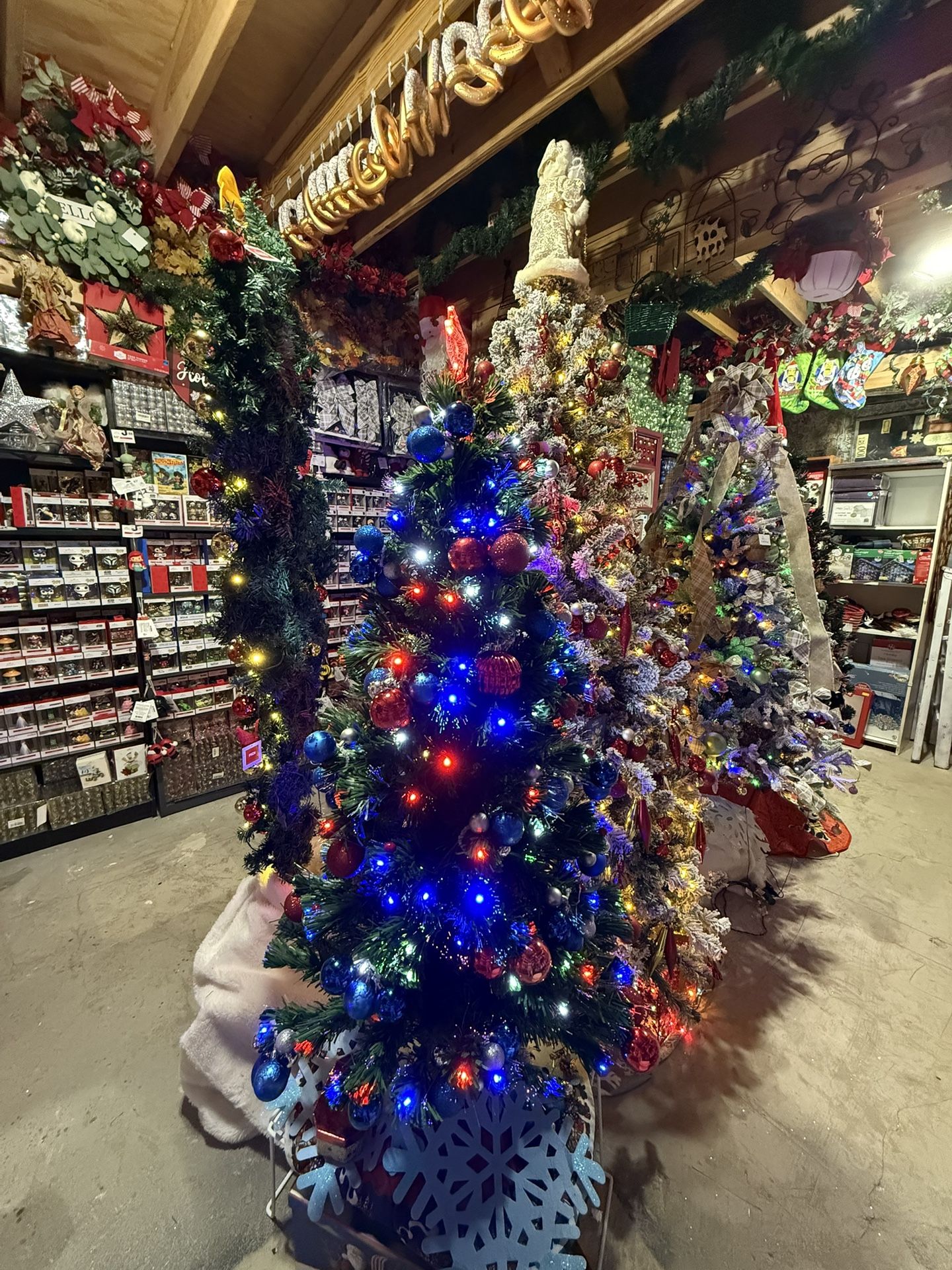Huge Christmas Tree Collection Must Go