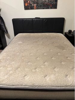 Free used queen, size mattress, and 2 free pet beds