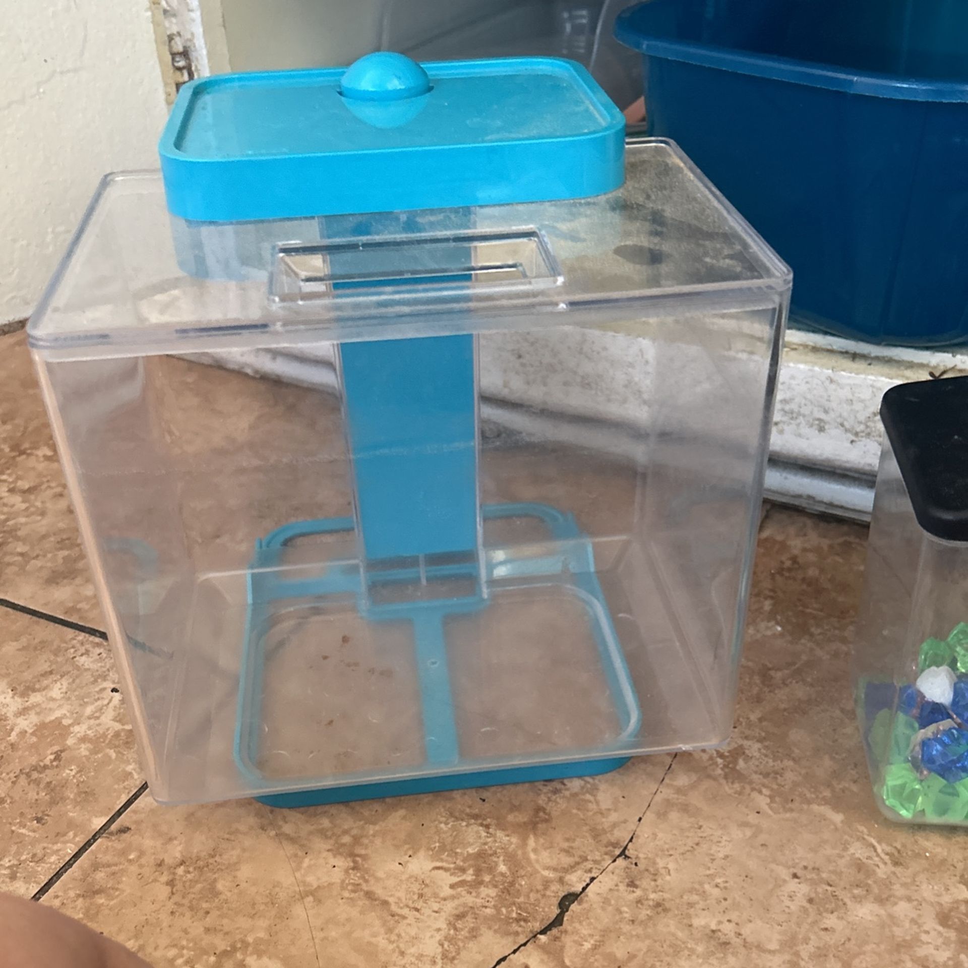 Small Fish Tanks
