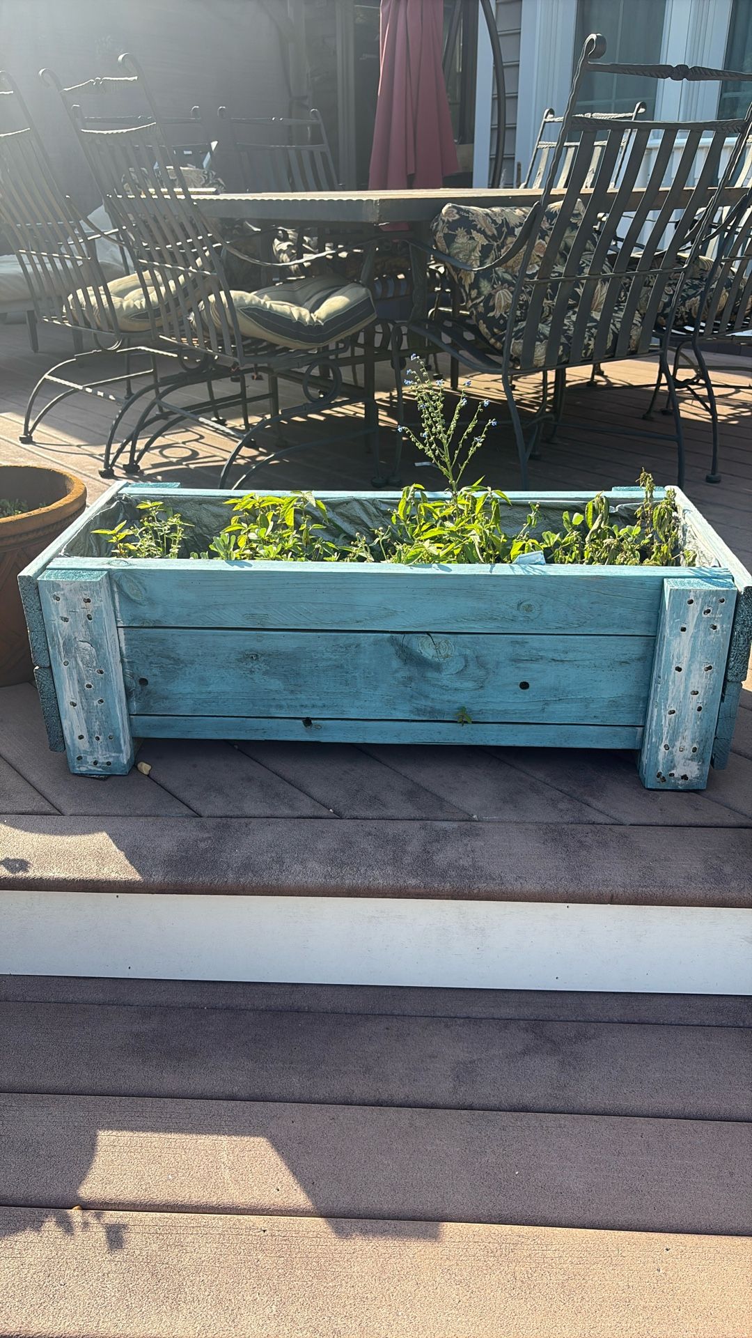 Plant Box