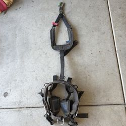 Buckingingham fly harness