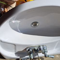 Ivory White  Pedals tool Sink .70 Dollars . Pick Up Only .