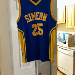 Derick Rose High School Jersey 