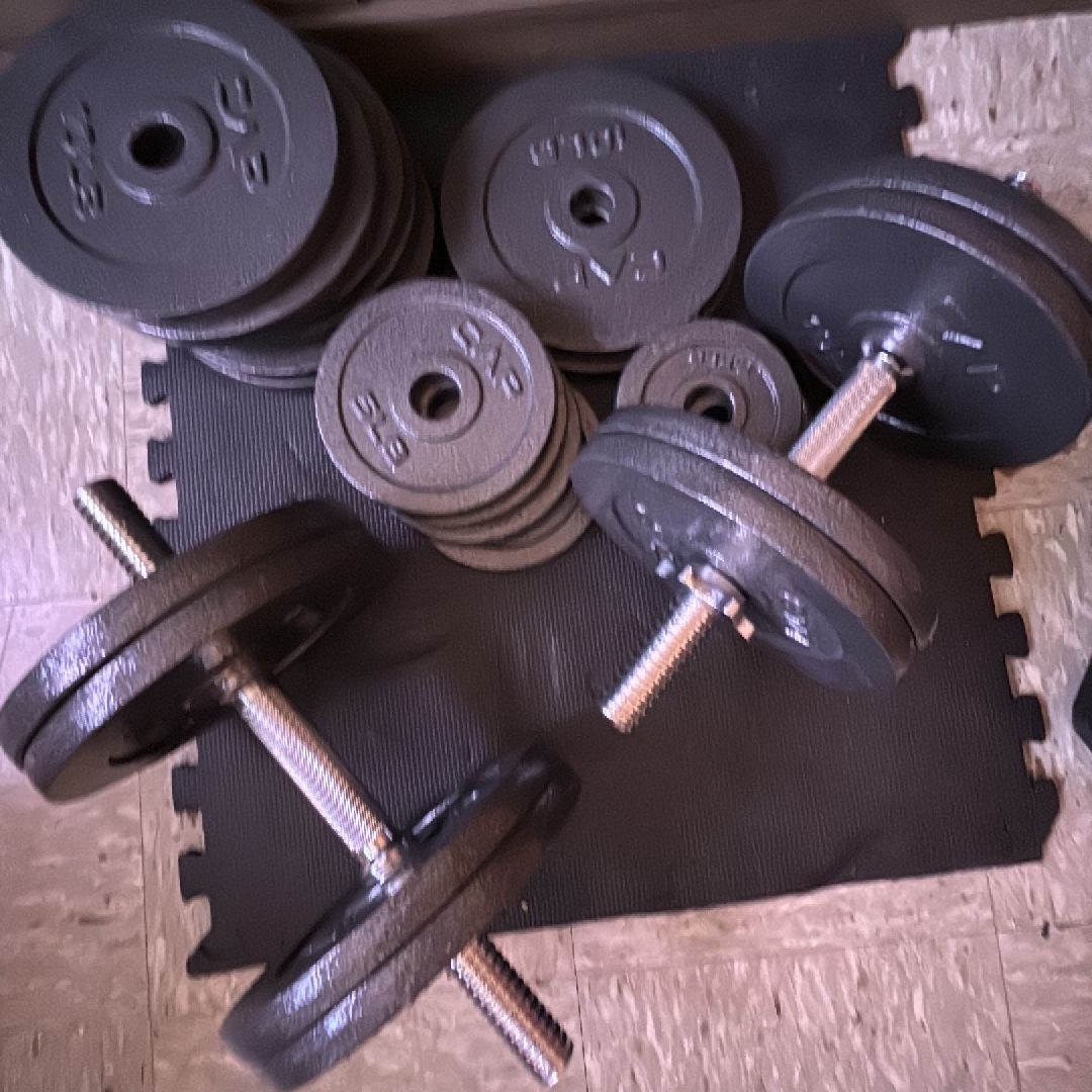 100lb Adjustable Old Skool Dumbbells (1 Pair)