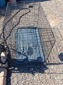 Kennel